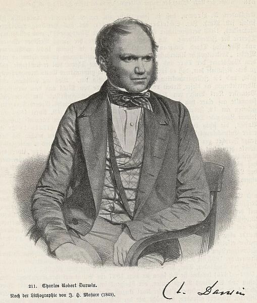 Darwin  /  1849  /  Masure