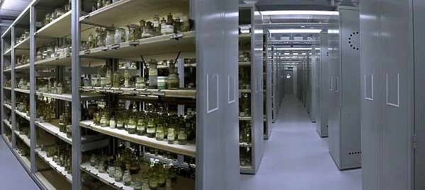 Darwin Centre storage room for specimens in spirit