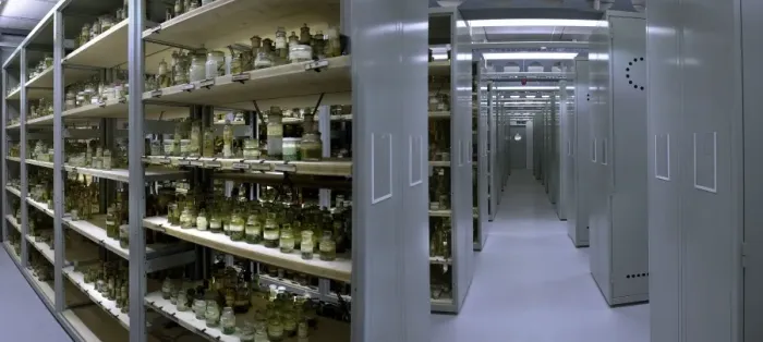 Framed Print : Darwin Centre storage room for specimens in spirit Framed Print : Darwin Centre storage room for specimens in spirit