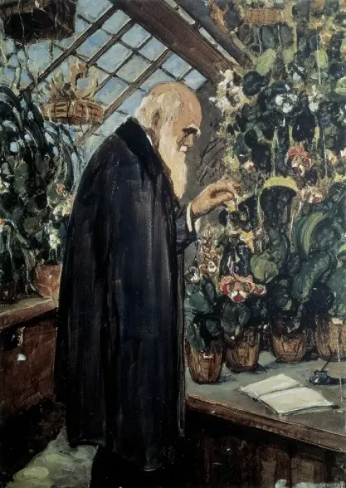 Framed Print : DARWIN, Charles Robert (1809-1882). British naturalist Framed Print : DARWIN, Charles Robert (1809-1882). British naturalist
