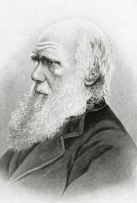 Framed Print : DARWIN, Charles Robert (1809-1882). British naturalist Framed Print : DARWIN, Charles Robert (1809-1882). British naturalist