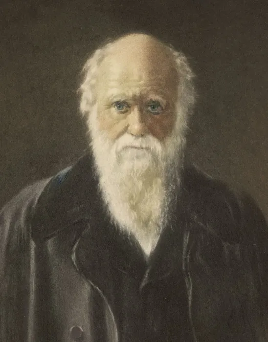 Framed Print : Darwin (Collier) Framed Print : Darwin (Collier)