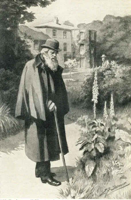 Framed Print : Darwin in his garden Framed Print : Darwin in his garden