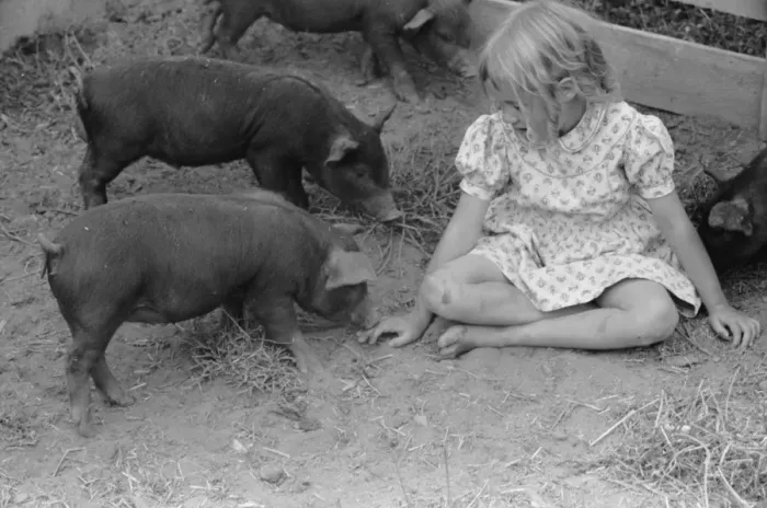 Framed Print : Daughter of resettlement client, San Luis Valley Farms, Alam Framed Print : Daughter of resettlement client, San Luis Valley Farms, Alam