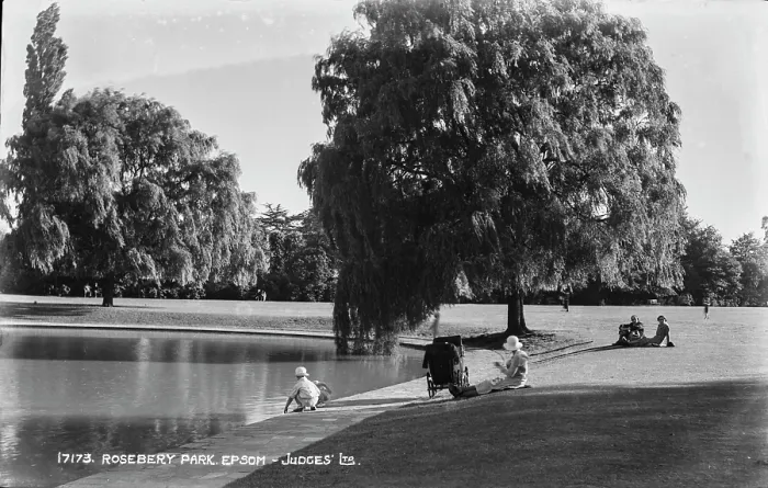 Framed Print : A Day at Rosebery Park Framed Print : A Day at Rosebery Park