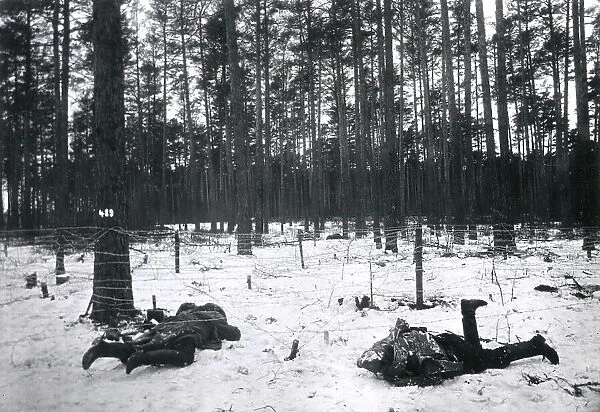 Dead Russian soldiers at Augustowo, WW1