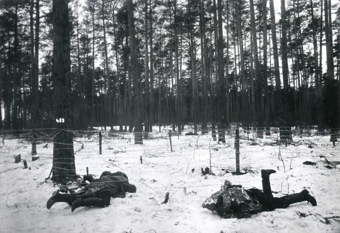 Framed Print : Dead Russian soldiers at Augustowo, WW1 Framed Print : Dead Russian soldiers at Augustowo, WW1