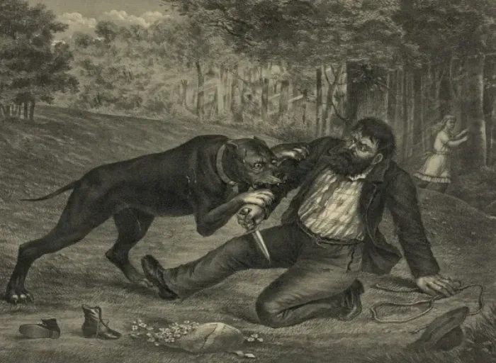 Framed Print : A deadly conflict. The kidnapper foiled Framed Print : A deadly conflict. The kidnapper foiled