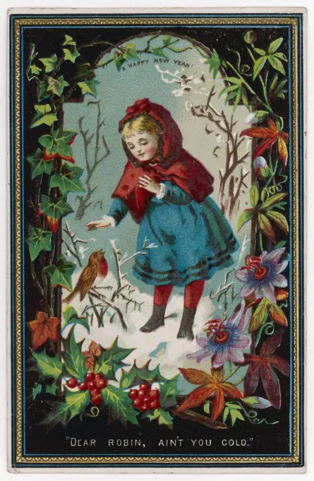Framed Print : Dear Robin, aint you cold? Framed Print : Dear Robin, aint you cold?
