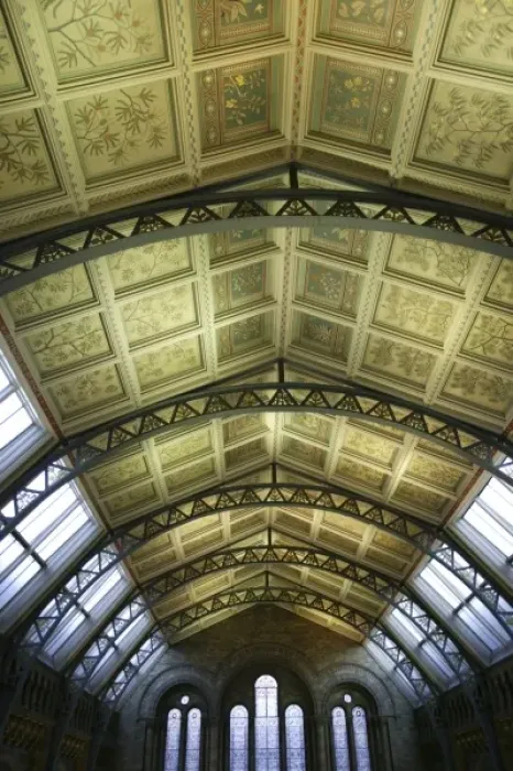 Framed Print : Decorative ceiling panels in the Natural History Museums Ce