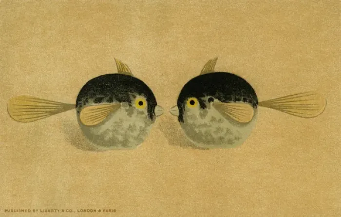 Framed Print : Decorative fish Framed Print : Decorative fish