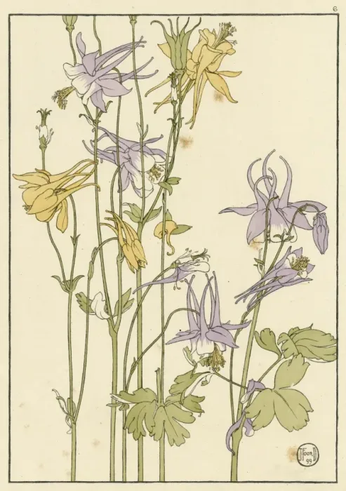 Framed Print : X. Decorative flower study by Jeannie Foord Framed Print : X. Decorative flower study by Jeannie Foord