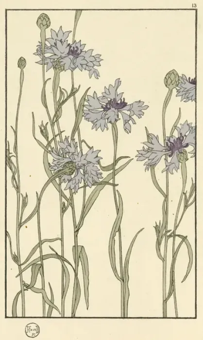 Framed Print : X. Decorative flower study by Jeannie Foord Framed Print : X. Decorative flower study by Jeannie Foord