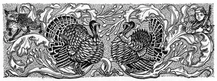 Framed Print : Decorative turkeys Framed Print : Decorative turkeys