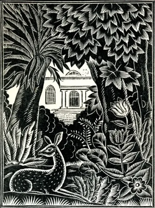 Framed Print : A deer lounges in lush, tropical surroudings Framed Print : A deer lounges in lush, tropical surroudings