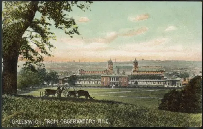 Framed Print : Deer on Observatory Hill Framed Print : Deer on Observatory Hill