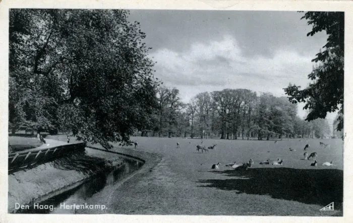 Framed Print : The Deer Park, The Hague, South Holland Framed Print : The Deer Park, The Hague, South Holland