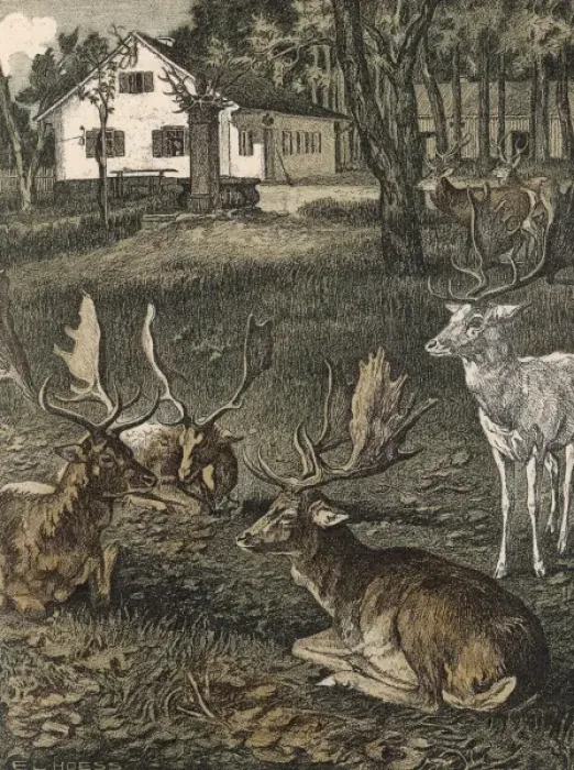 Framed Print : Deer in Park / Jugend / 1904 Framed Print : Deer in Park / Jugend / 1904
