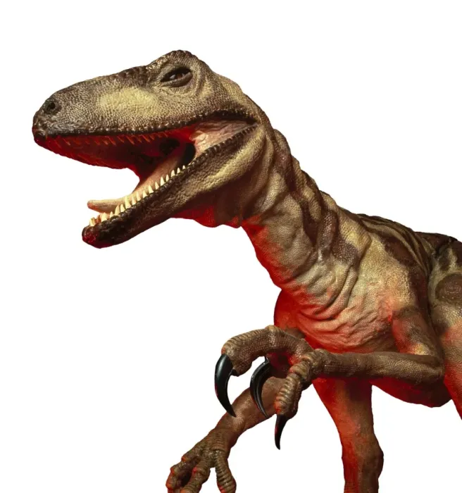 Framed Print : Deinonychus Framed Print : Deinonychus
