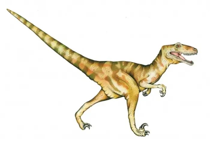 Framed Print : Deinonychus Framed Print : Deinonychus