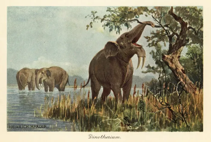 Framed Print : Deinotherium giganteum pulling down high foliage with its trunk Framed Print : Deinotherium giganteum pulling down high foliage with its trunk