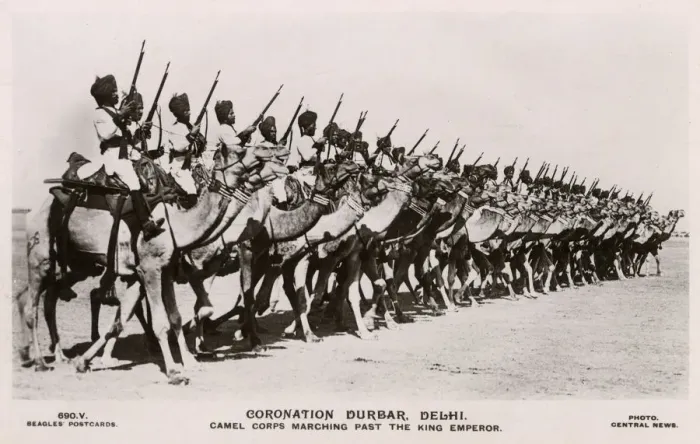 Framed Print : Delhi Durbar - Camel Corps Marching Past Emperor George V Framed Print : Delhi Durbar - Camel Corps Marching Past Emperor George V