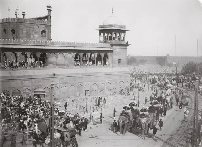 Framed Print : Delhi Durbar probably 1911, Elephants in procession Framed Print : Delhi Durbar probably 1911, Elephants in procession