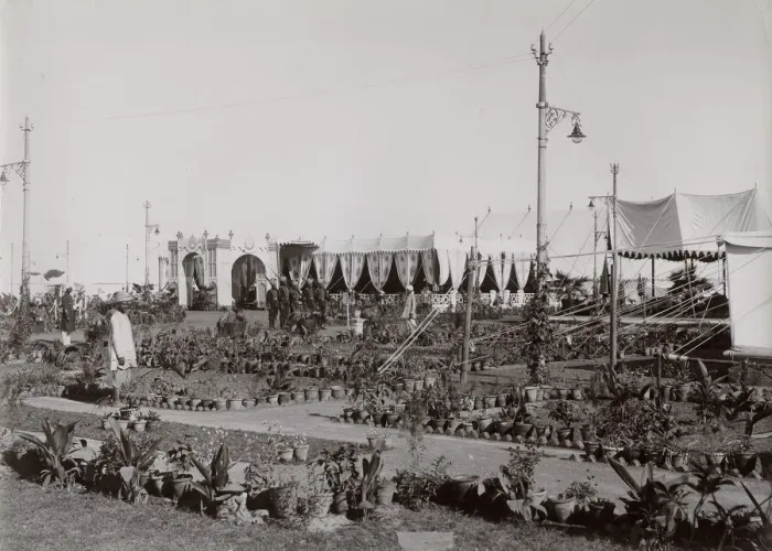 Framed Print : Delhi at the time of the Delhi Durbar, India Framed Print : Delhi at the time of the Delhi Durbar, India