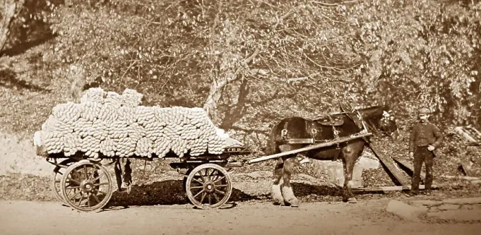 Framed Print : A delivery of yarn, linen production, Victorian period Framed Print : A delivery of yarn, linen production, Victorian period