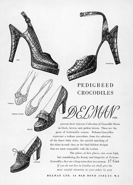 Delman Crocodile Shoes