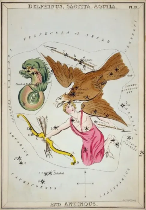 Framed Print : Delphinus, Sagitta, Aquila, and Antinous Framed Print : Delphinus, Sagitta, Aquila, and Antinous