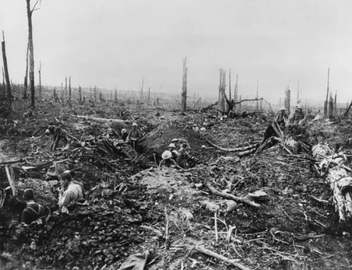 Framed Print : Delville Wood 1916 Framed Print : Delville Wood 1916