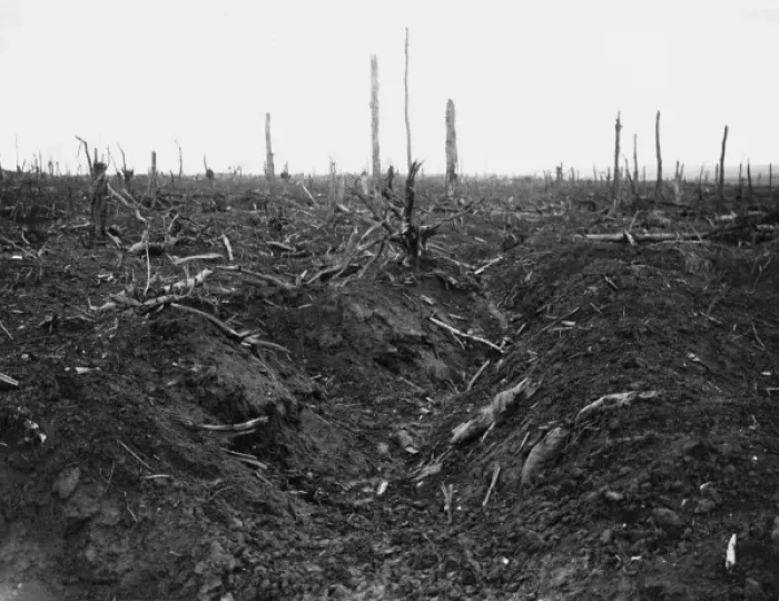 Framed Print : Delville Wood 1916 Framed Print : Delville Wood 1916