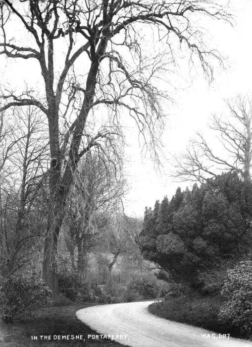 Framed Print : In the Demesne, Portaferry Framed Print : In the Demesne, Portaferry