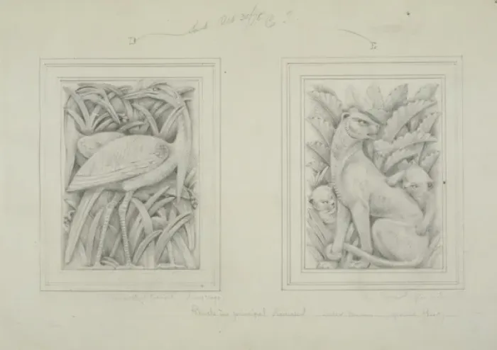 Framed Print : Demoiselle and crane designs