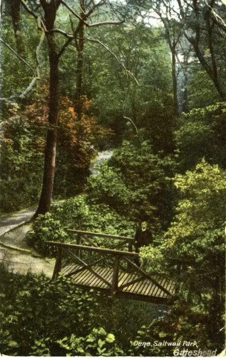 Framed Print : The Dene, Saltwell Park, Northumberland