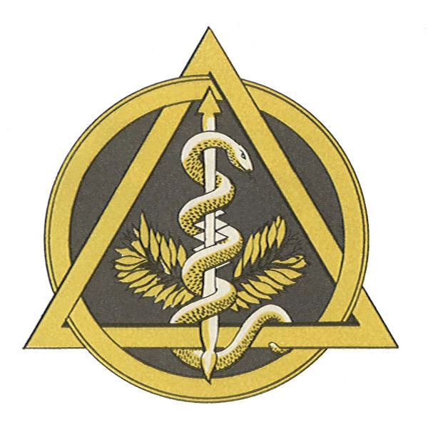 Dentistry Emblem Date: 1950