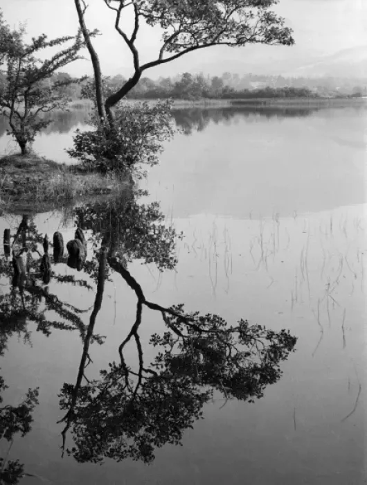 Framed Print : Derwentwater Reflections Framed Print : Derwentwater Reflections