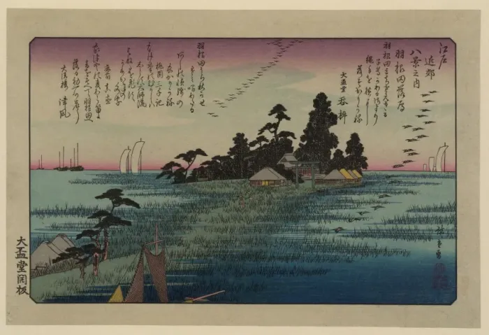 Framed Print : Descending geese at Haneda Framed Print : Descending geese at Haneda