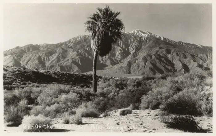Framed Print : Desert near Palm Springs, California, USA Framed Print : Desert near Palm Springs, California, USA