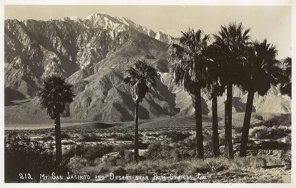 Desert near Palm Springs, California, USA