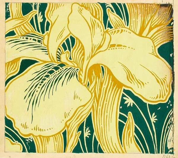 Design for Printed Textile with lilies