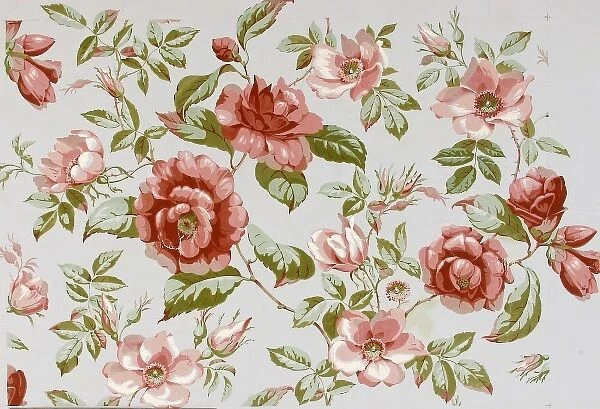 Design for Wallpaper with pink roses