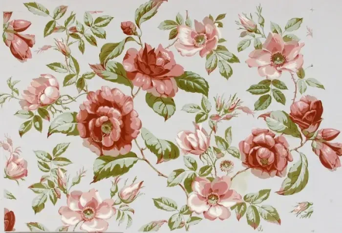 Framed Print : Design for Wallpaper with pink roses Framed Print : Design for Wallpaper with pink roses