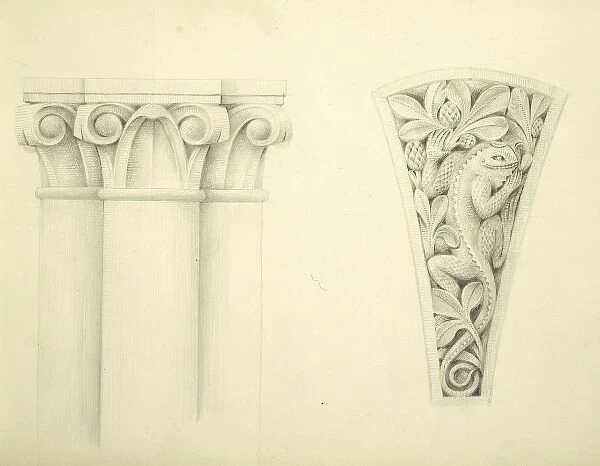 Designs for the Natural History Museum, by Alfred Waterhouse