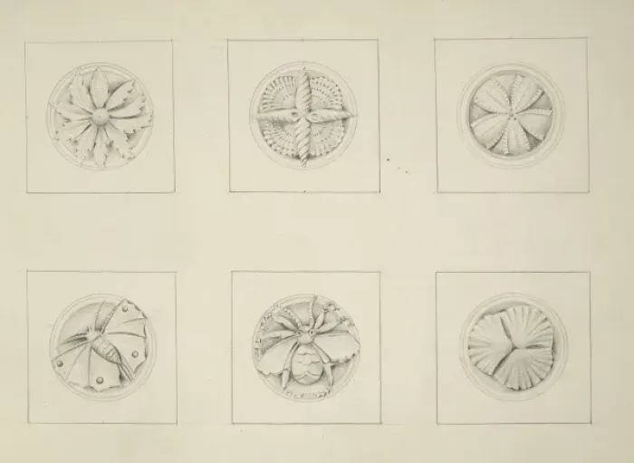 Framed Print : Designs for the Natural History Museum, by Alfred Waterhouse Framed Print : Designs for the Natural History Museum, by Alfred Waterhouse