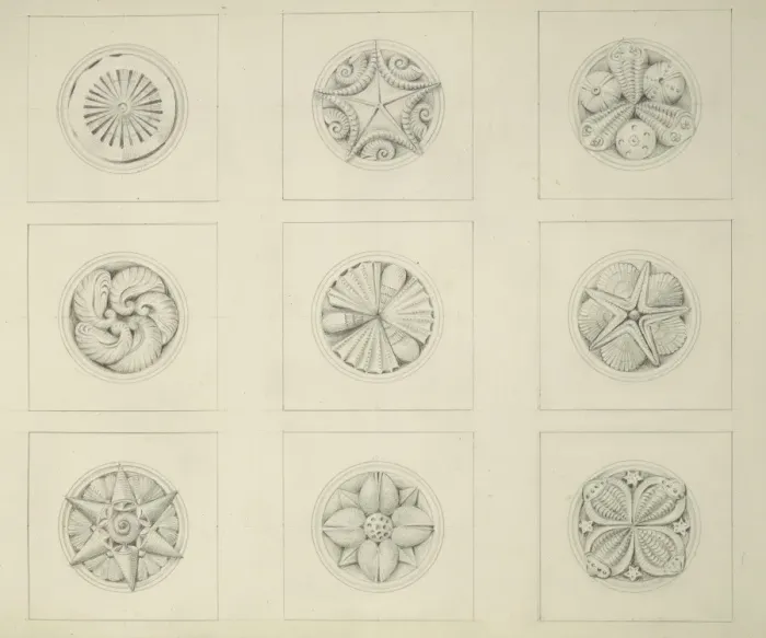 Framed Print : Designs for the Natural History Museum, by Alfred Waterhouse Framed Print : Designs for the Natural History Museum, by Alfred Waterhouse