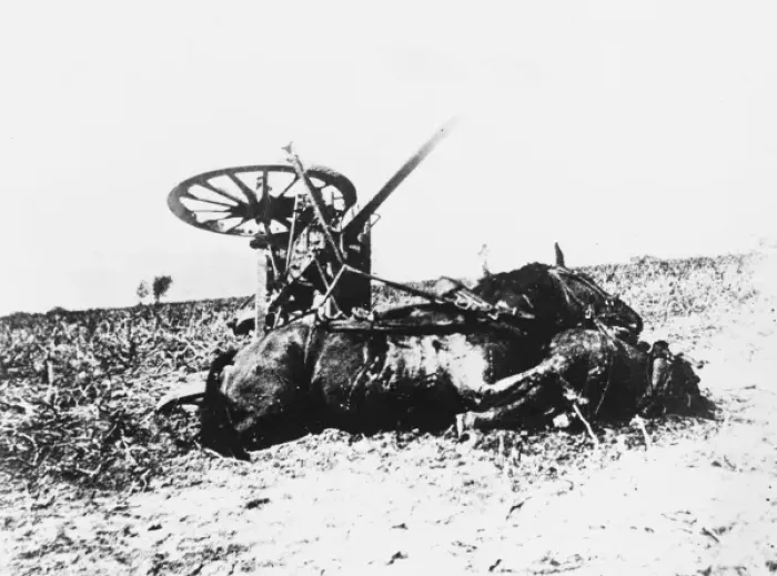 Framed Print : Destroyed German cart WWI Framed Print : Destroyed German cart WWI