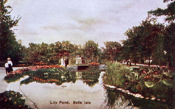 Detroit, Michigan, USA - Lily Pond on Belle Isle