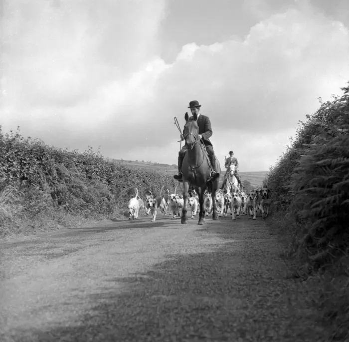 Framed Print : Devon and Somerset staghounds on a country lane Framed Print : Devon and Somerset staghounds on a country lane